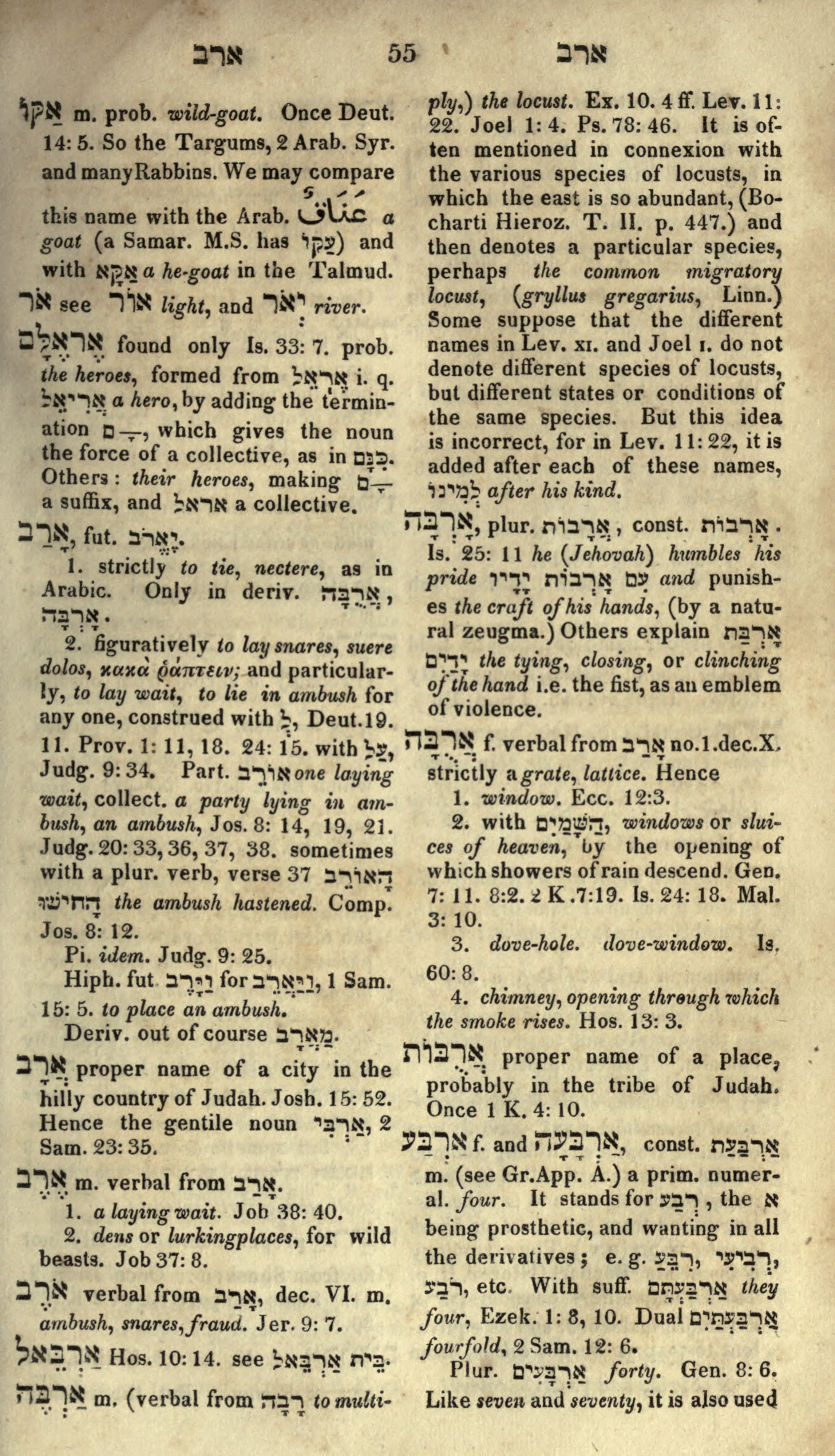 Gesenius Lexicon Page 69