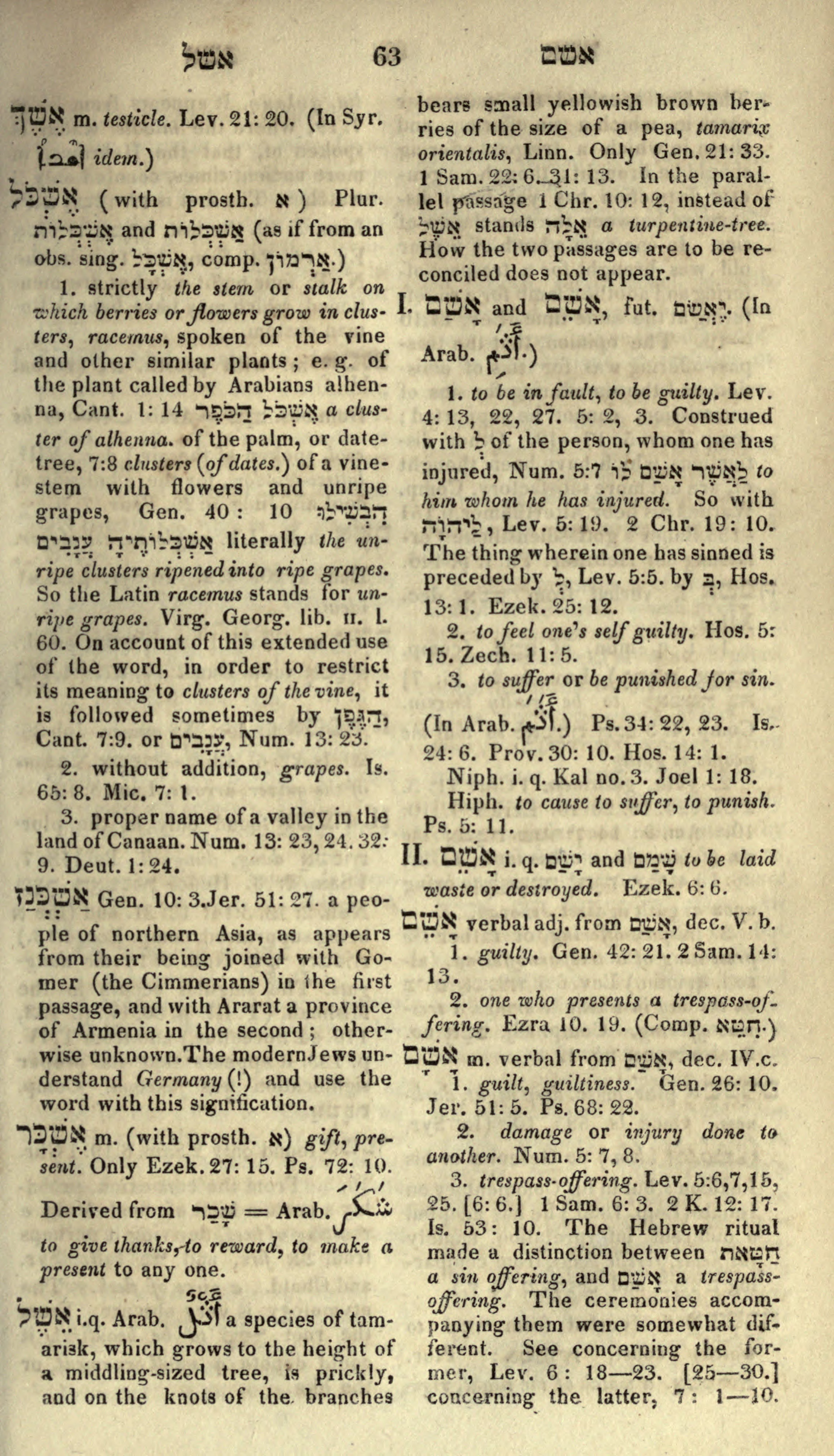 Gesenius Lexicon Page 77