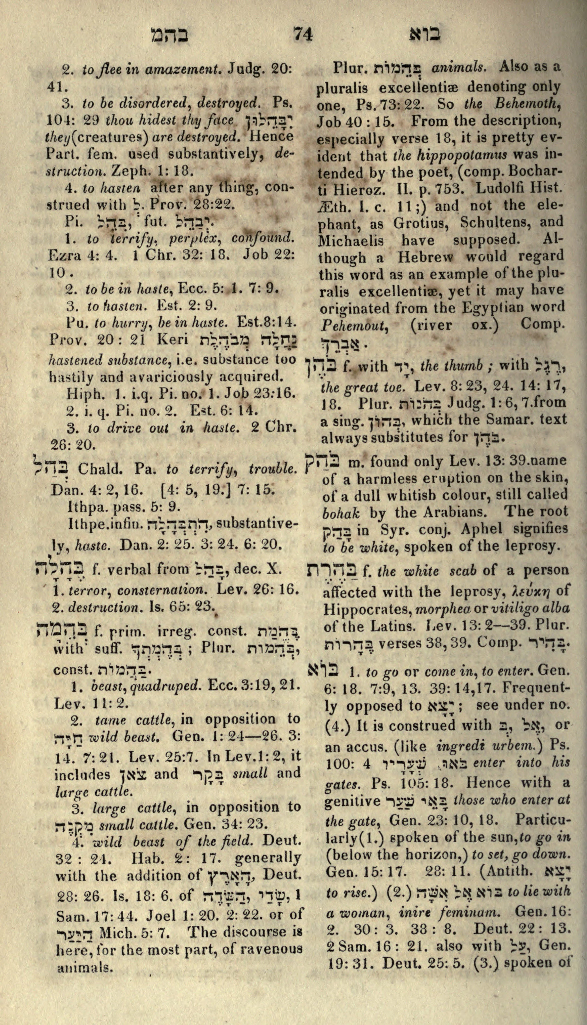 Gesenius Lexicon Page 88