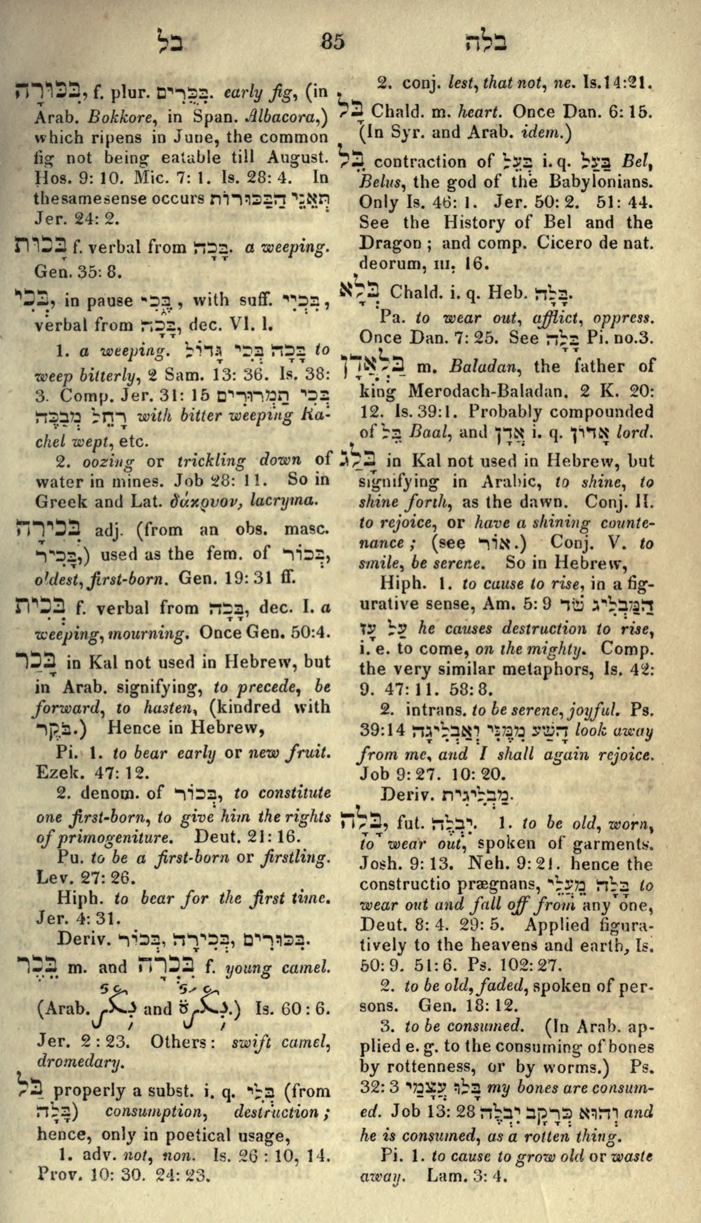 Gesenius Lexicon Page 99