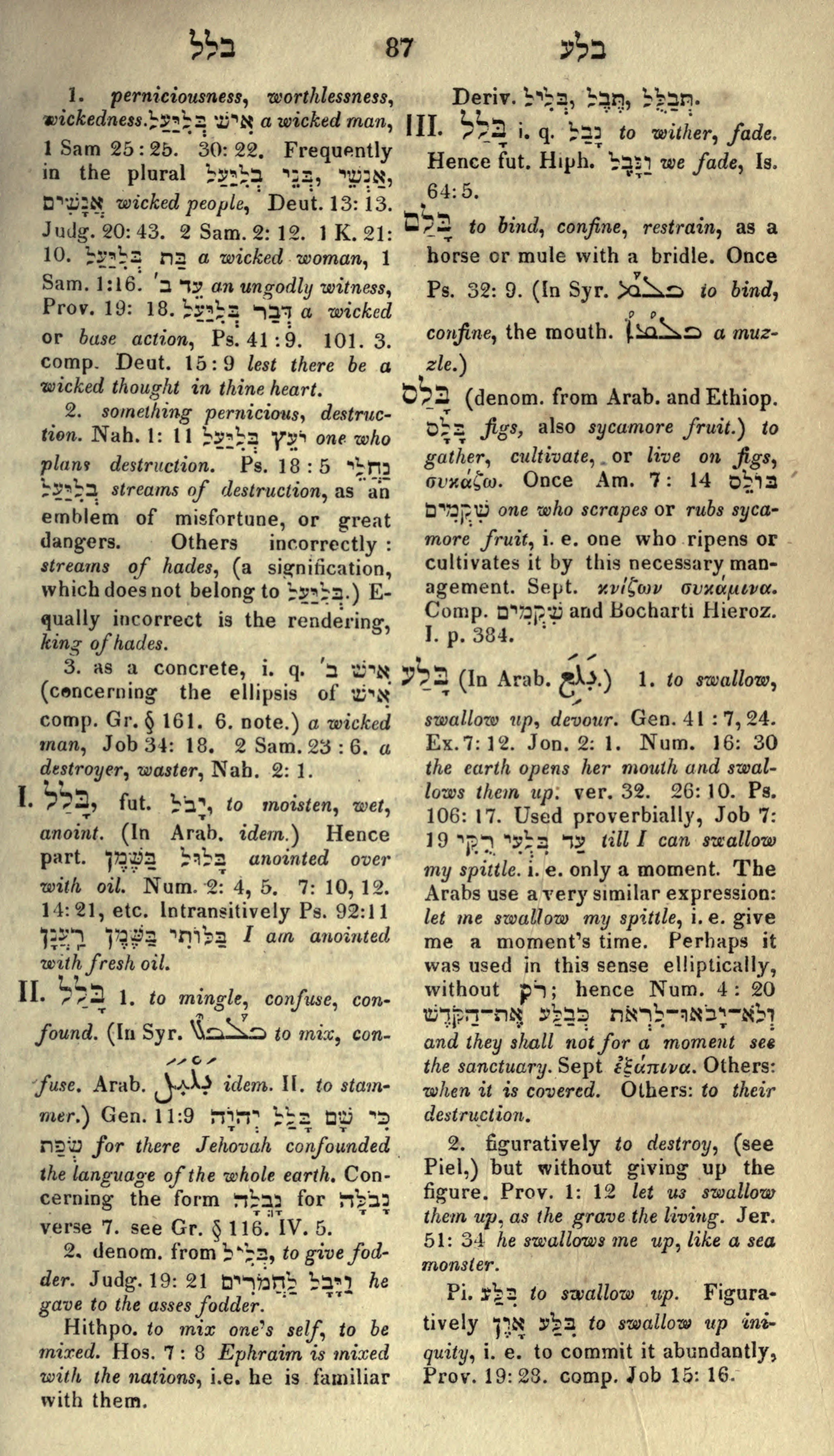 Gesenius Lexicon Page 101