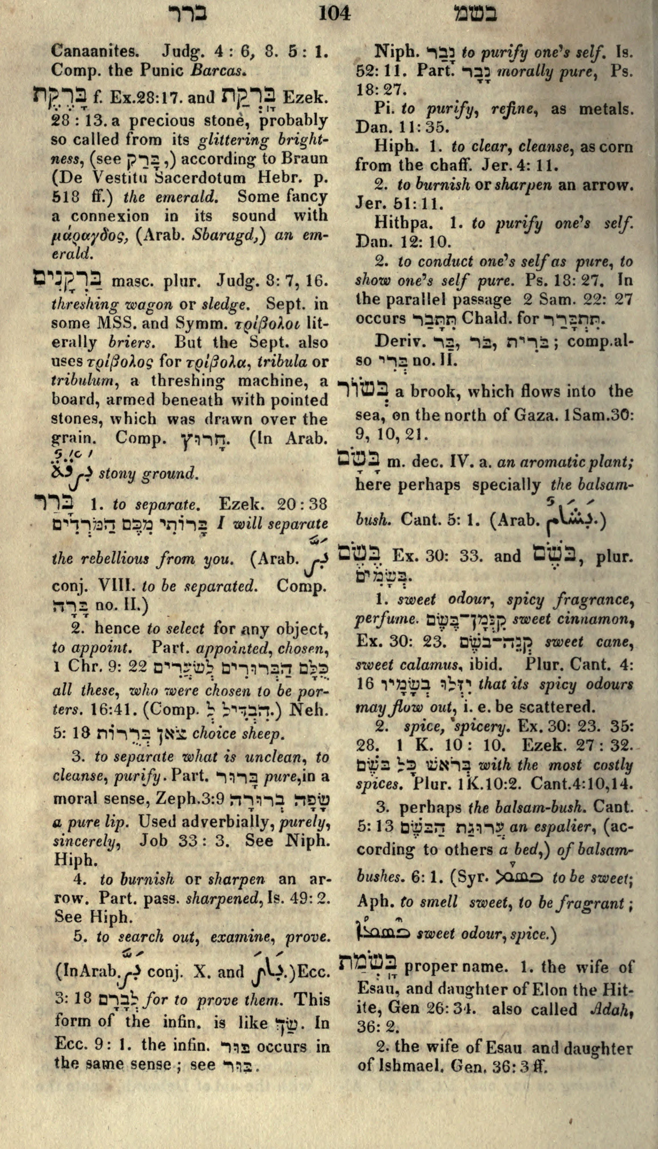 Gesenius Lexicon Page 118