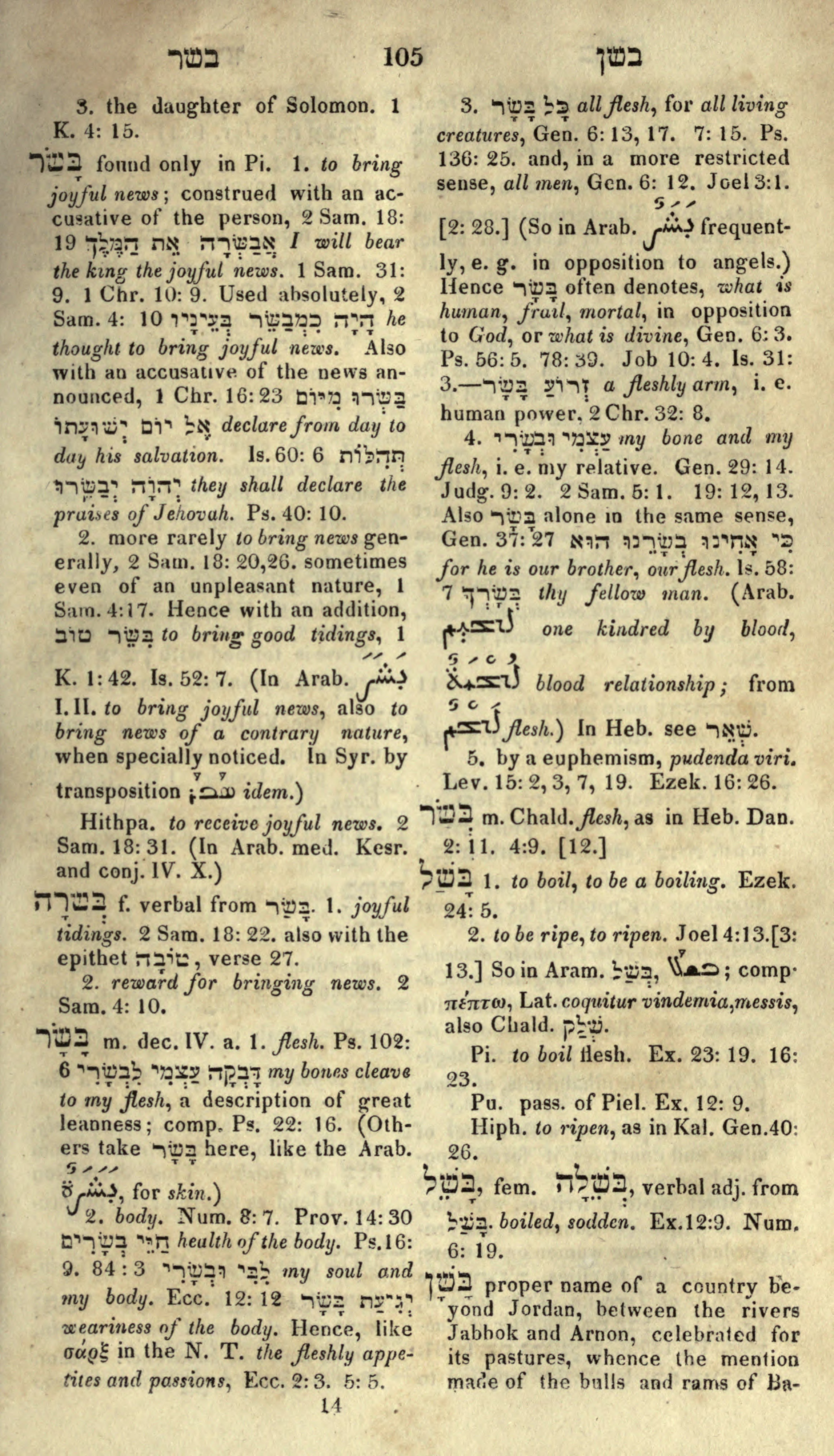 Gesenius Lexicon Page 119