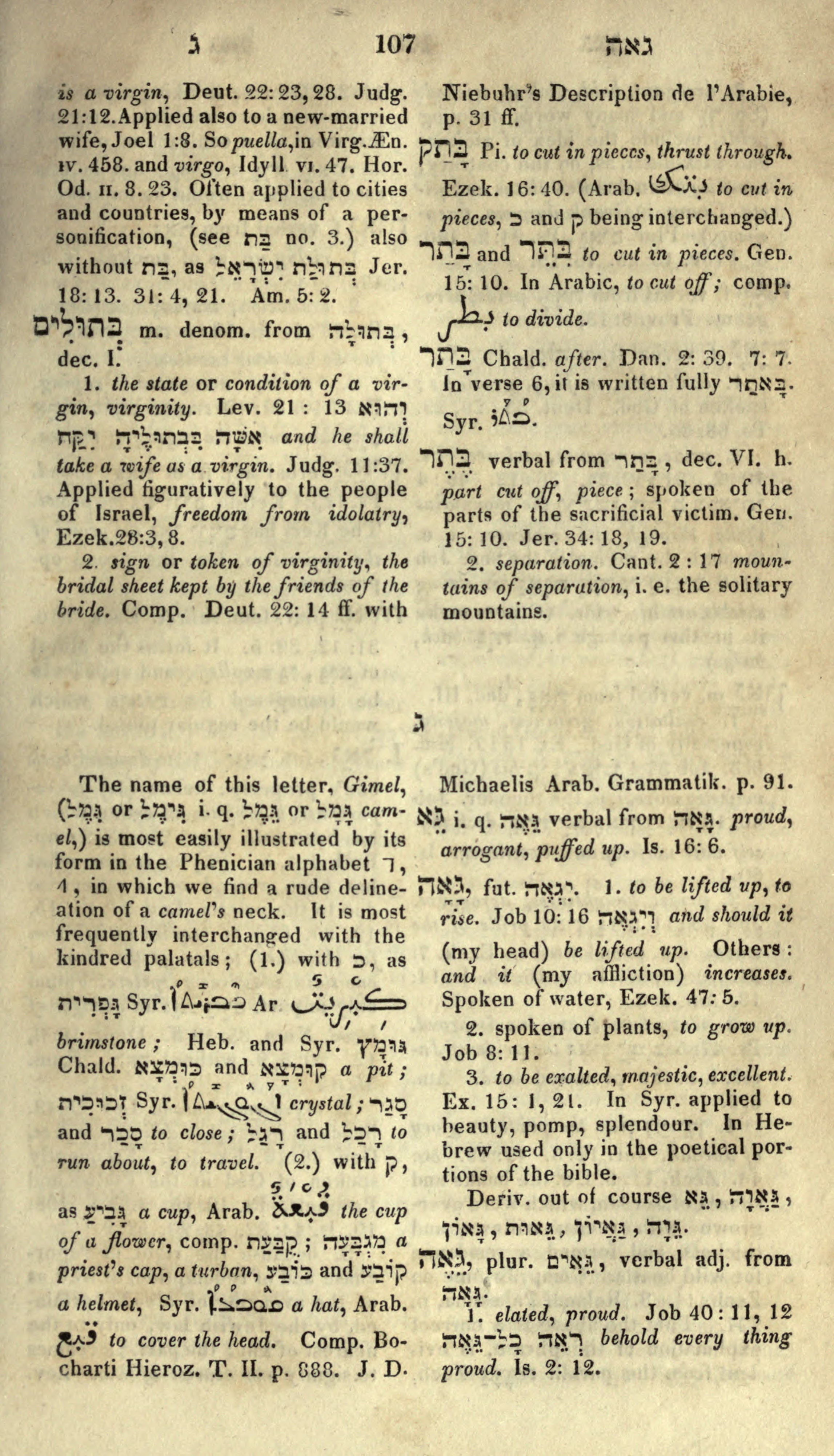 Gesenius Lexicon Page 121