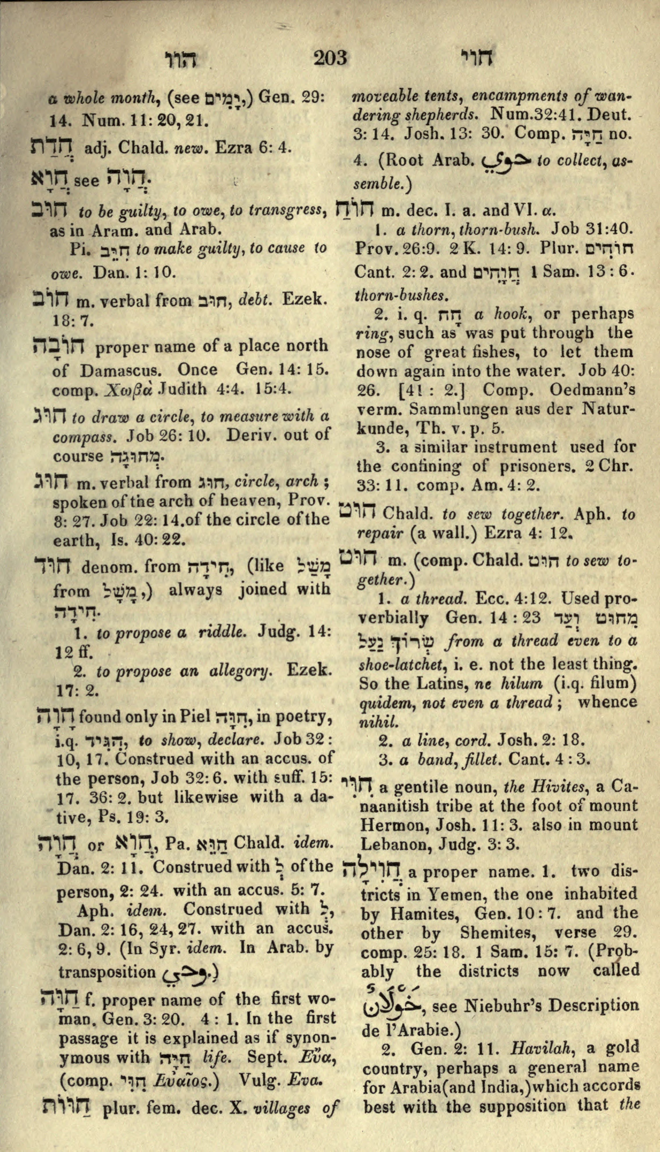 Gesenius Lexicon Page 217