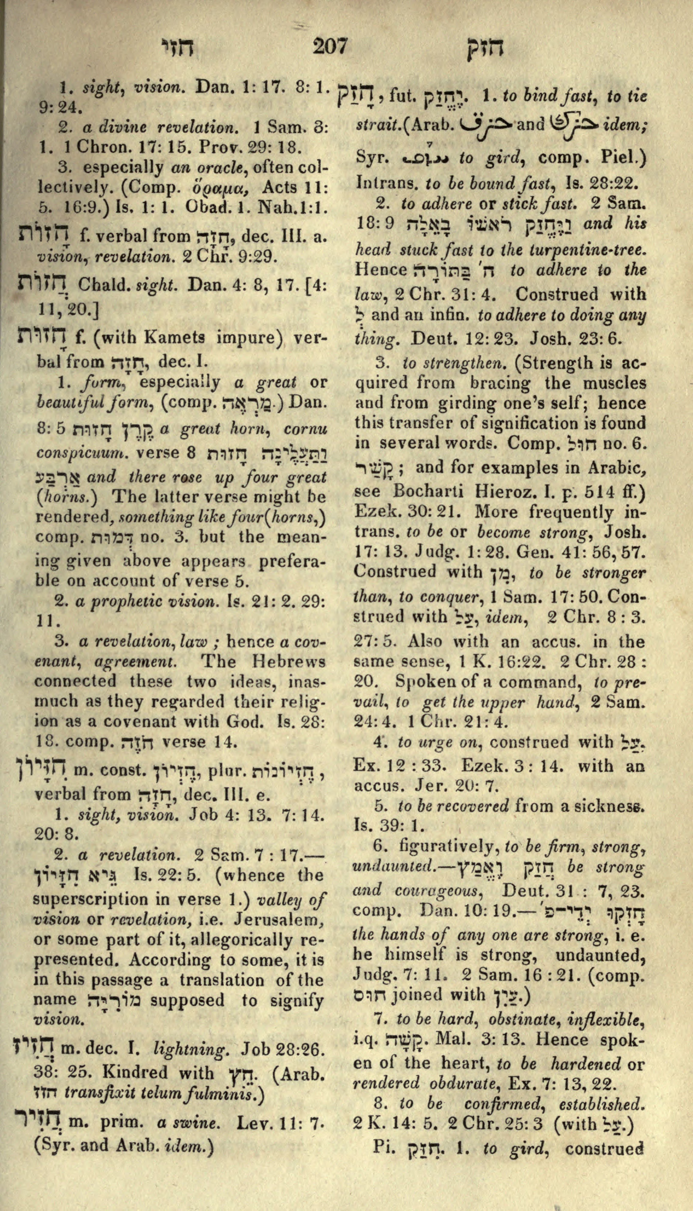 Gesenius Lexicon Page 221