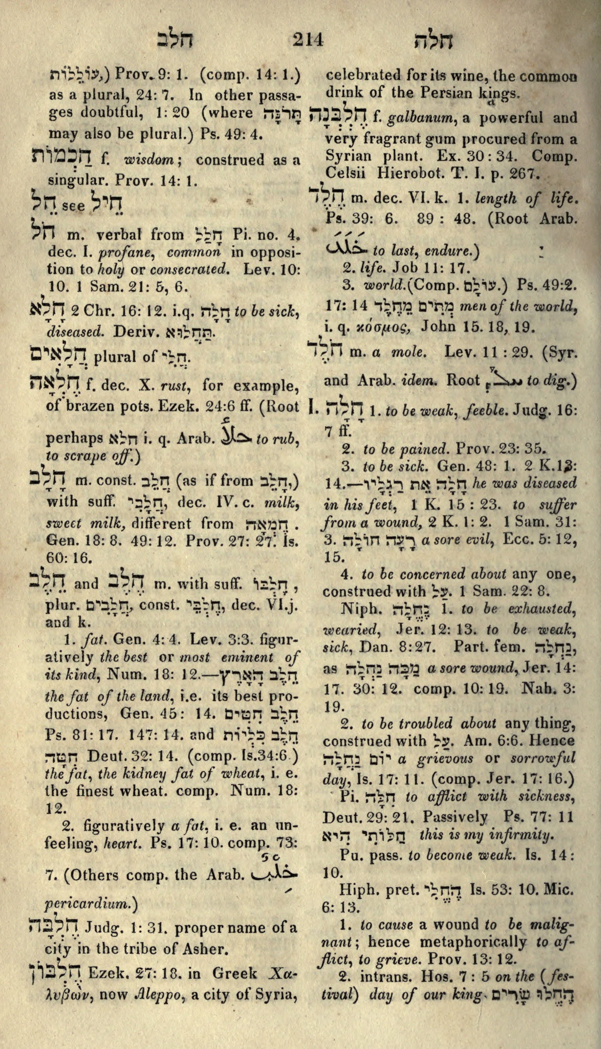 Gesenius Lexicon Page 228