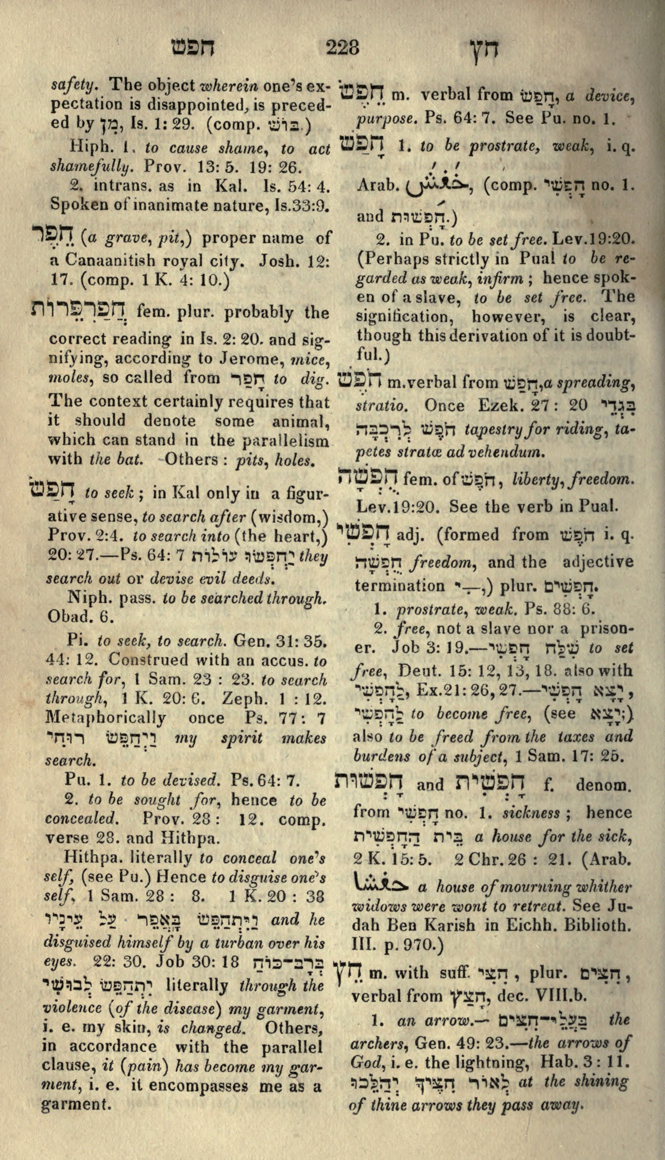 Gesenius Lexicon Page 242