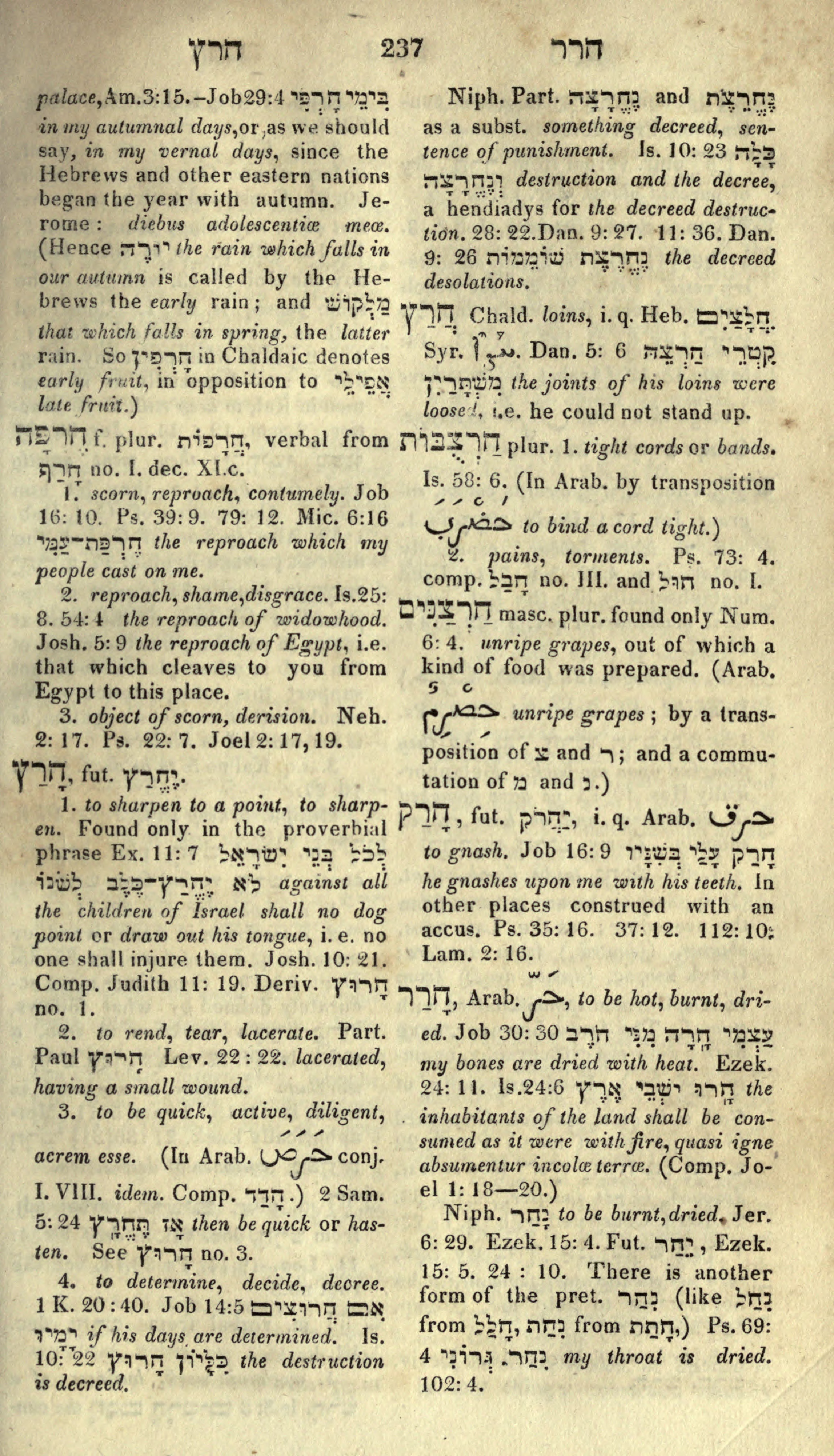 Gesenius Lexicon Page 251