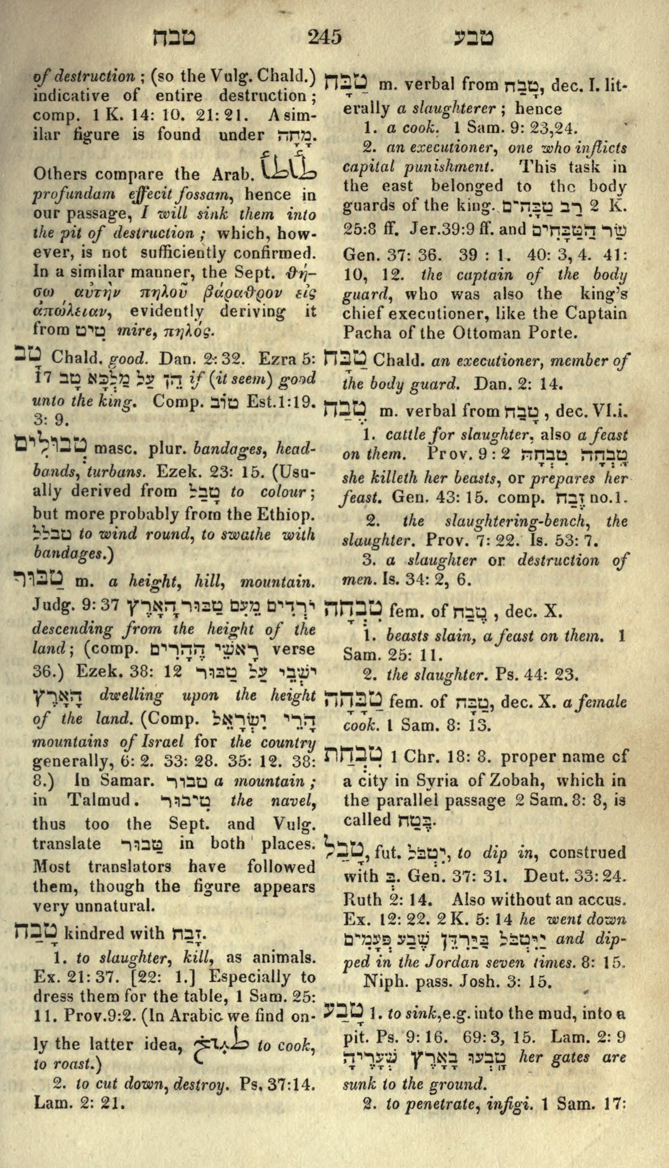 Gesenius Lexicon Page 259