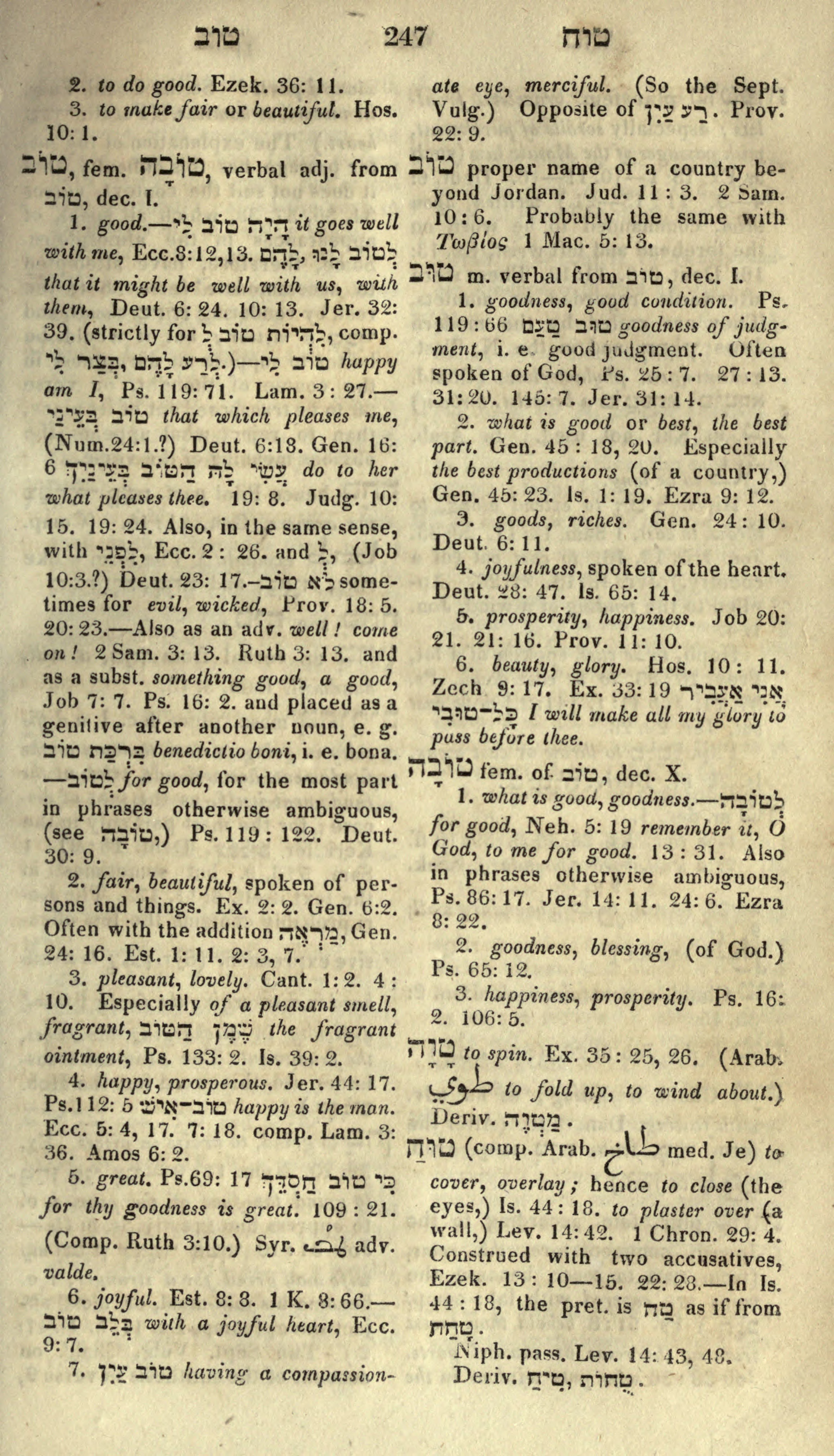 Gesenius Lexicon Page 261
