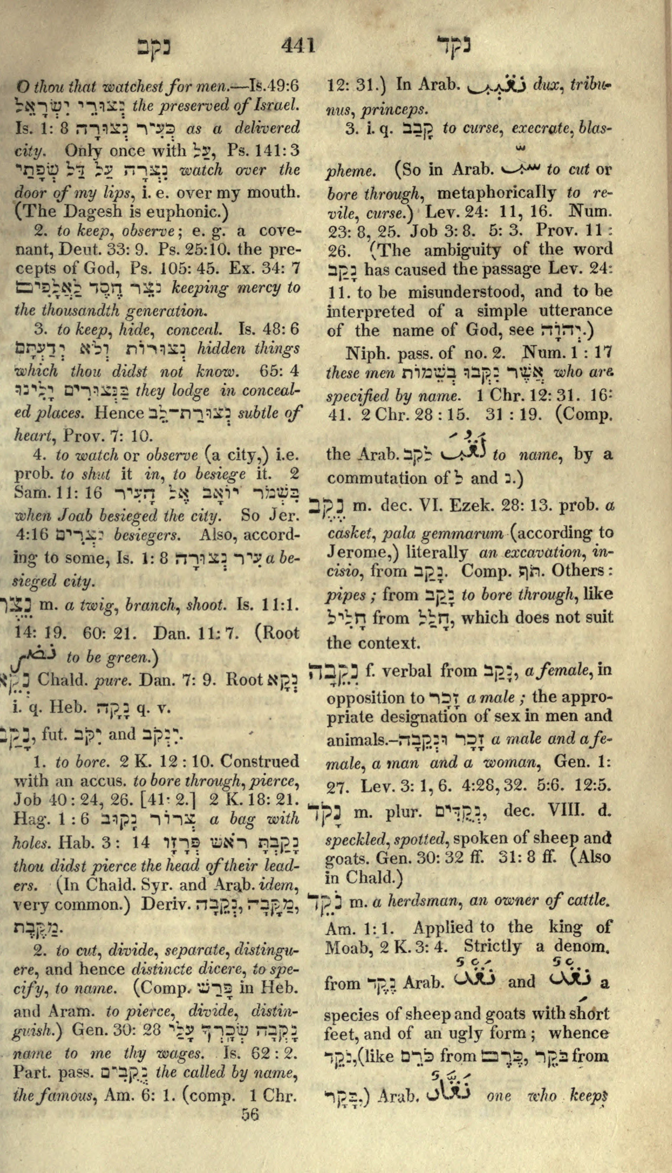 Gesenius Lexicon Page 455
