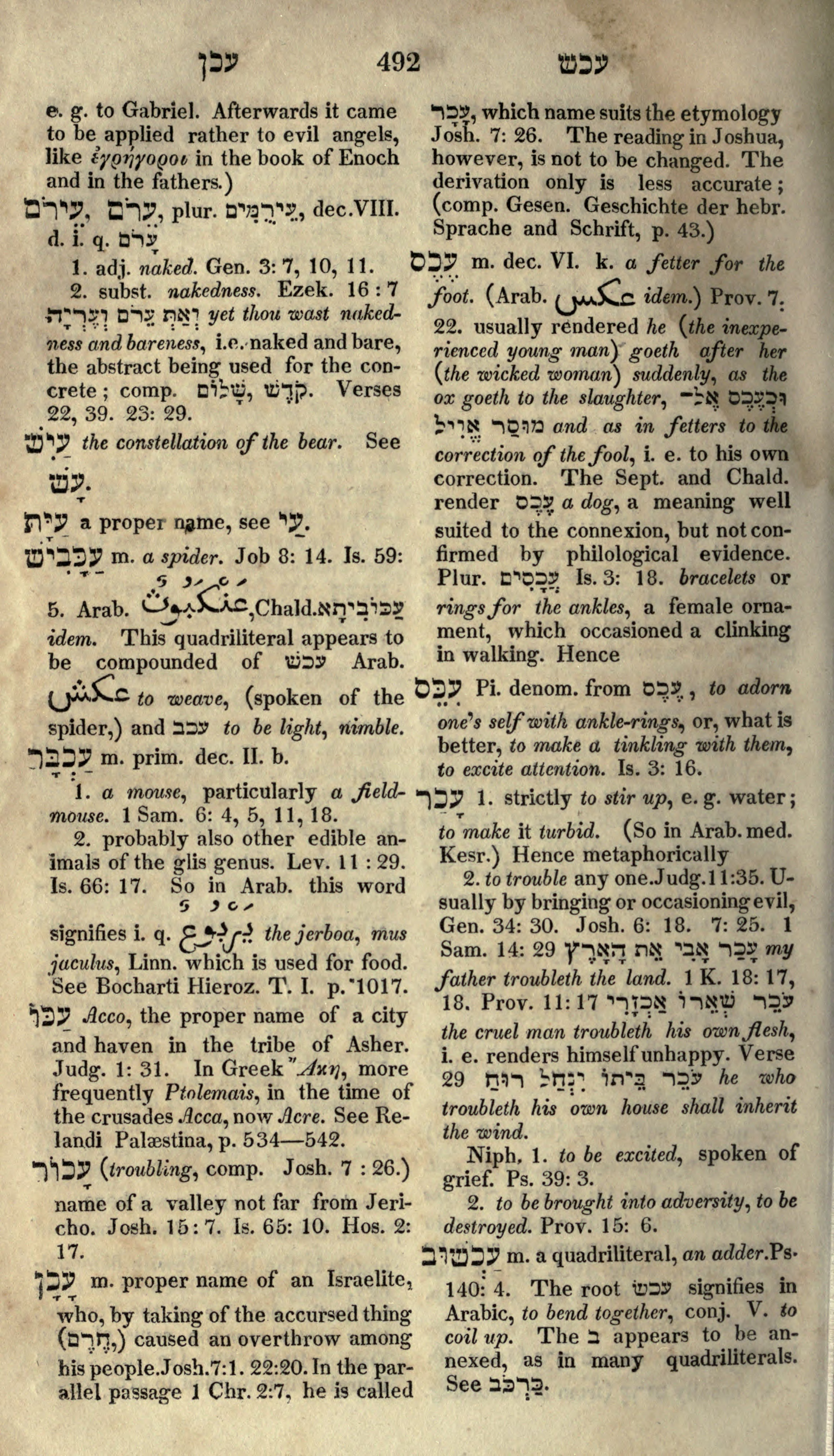 Gesenius Lexicon Page 506