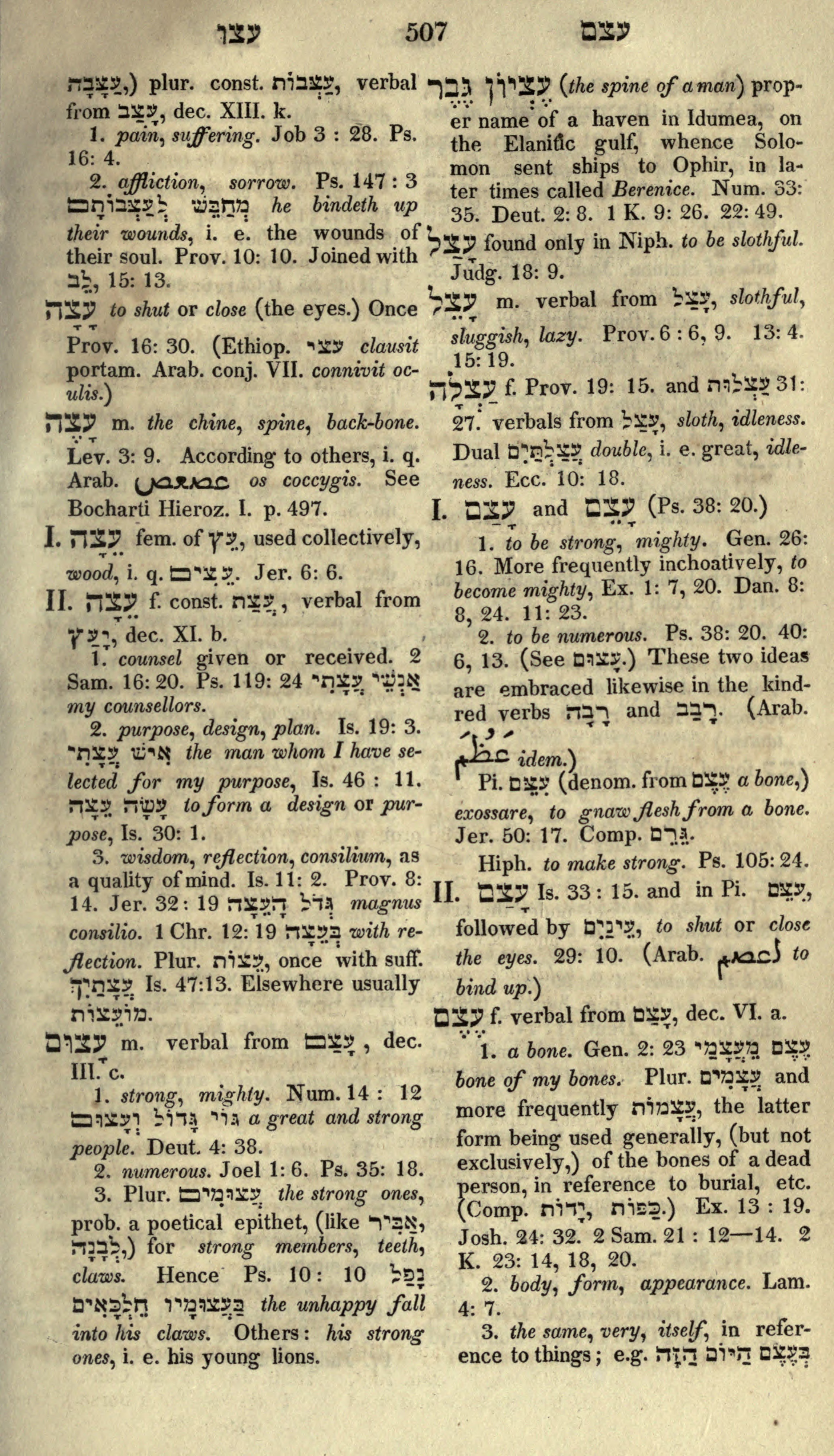 Gesenius Lexicon Page 521