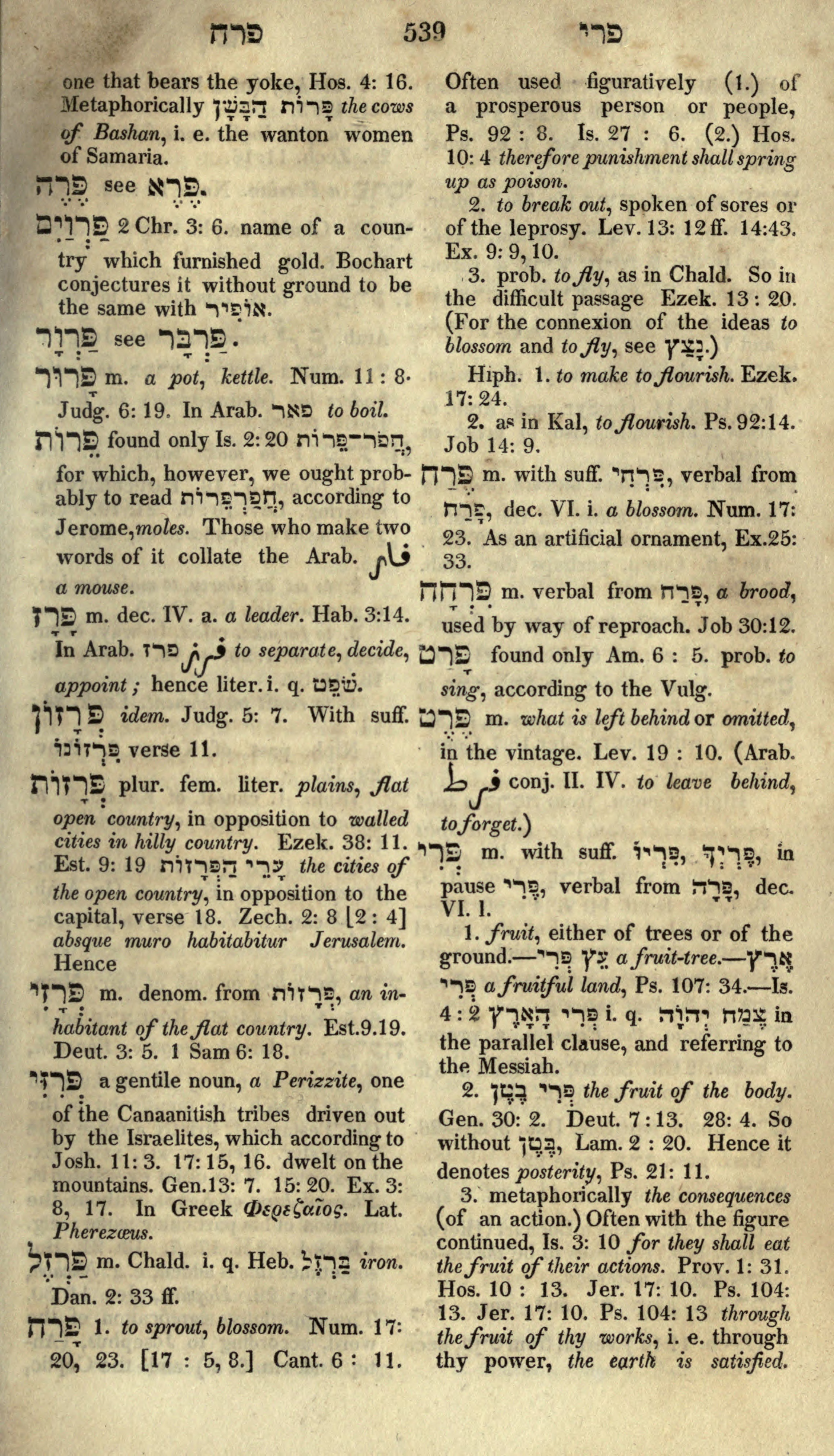 Gesenius Lexicon Page 553