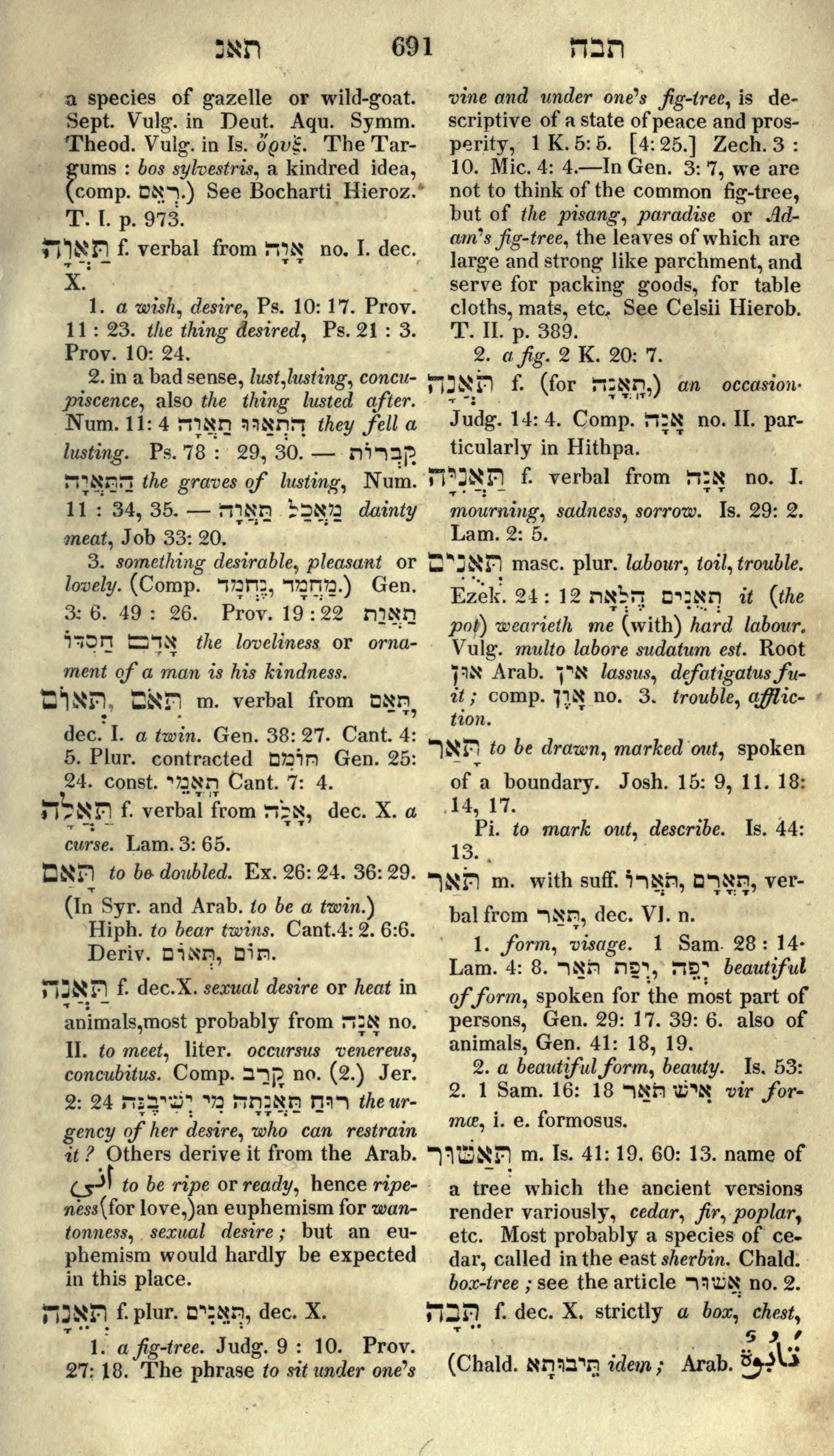 Gesenius Lexicon Page 705